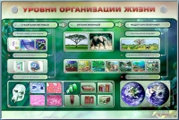 Электрифицированный стенд "Уровни организации жизни" - «globural.ru» - Нижневартовск