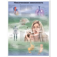 Плакат "Никотиновая зависимость", ламинированный, 50*67 см - «globural.ru» - Нижневартовск