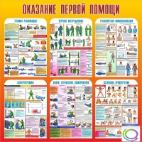 Стенд "Оказание первой помощи" - «globural.ru» - Нижневартовск
