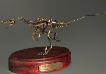 Модель скелета динозавра Velociraptor - «globural.ru» - Нижневартовск