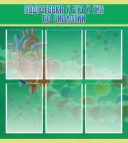 Стенд "Подготовка к ЕГЭ и ОГЭ по биологии" (вариант 1) - «globural.ru» - Нижневартовск