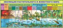 Стенд "Эволюция растительного и животного мира" - «globural.ru» - Нижневартовск
