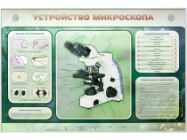 Электрифицированный стенд "Устройство микроскопа и правила работы c ним" - «globural.ru» - Нижневартовск