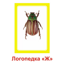 Логопедка "Ж" (логопедические карточки) - «globural.ru» - Нижневартовск