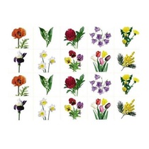 Комплект карточек. Серия наглядных пособий "Запоминай, играй, считай". Цветы. - «globural.ru» - Нижневартовск