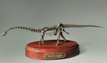 Модель скелета динозавра Diplodocus  (вариант 2) - «globural.ru» - Нижневартовск