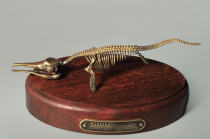 Модель скелета ихтиозавра Ichthyosaurus - «globural.ru» - Нижневартовск