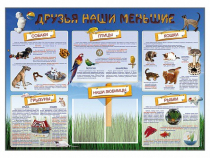 Стенд-уголок "Друзья наши меньшие" - «globural.ru» - Нижневартовск