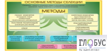Стенд "Методы селекции и биотехнологии" - «globural.ru» - Нижневартовск