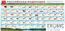 Стенд "Красная книга РФ" - «globural.ru» - Нижневартовск