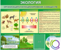 Стенд "Экология. Организация и функционирование сообществ" - «globural.ru» - Нижневартовск
