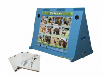 Интерактивная звуковая панель "Угадай-ка" с маркерными полями (дикие животные) - «globural.ru» - Нижневартовск