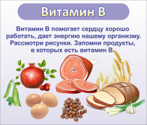 Стенд "Витамин В" - «globural.ru» - Нижневартовск