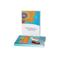 Развитие и коррекция мышления младших подростков. Сетевая версия «без ограничений» - «globural.ru» - Нижневартовск