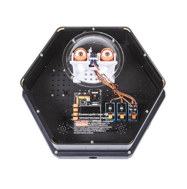 Модуль интерактивный с искусственным интеллектом "Наблюдатель" - «globural.ru» - Нижневартовск