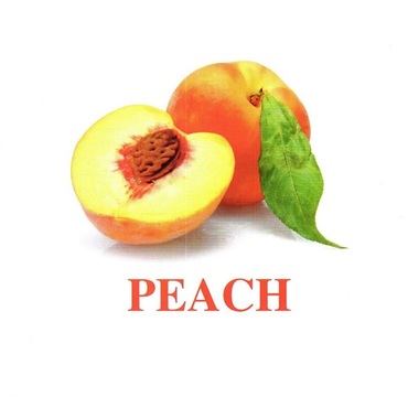 "Fruit" ("Фрукты") английские карточки Домана - «globural.ru» - Нижневартовск