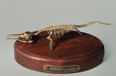 Модель скелета ихтиозавра Ichthyosaurus - «globural.ru» - Нижневартовск