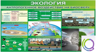 Стенд "Экология. Антропогенное воздействие на биосферу" - «globural.ru» - Нижневартовск