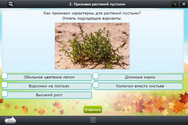 Интерактивные курсы. Окружающий мир 3 класс. Базовый - «globural.ru» - Нижневартовск