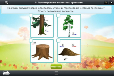 Интерактивные курсы. Окружающий мир 1 класс. Базовый - «globural.ru» - Нижневартовск