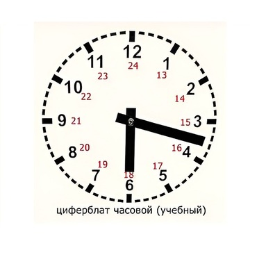 Часовой циферблат раздаточный - «globural.ru» - Нижневартовск
