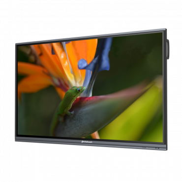 Интерактивный программно-аппаратный комплекс Geckotouch Interactive Pro IP75HT-E в комплекте с настенным креплением - «globural.ru» - Нижневартовск