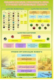 Стенд "Классификация животного мира" - «globural.ru» - Нижневартовск